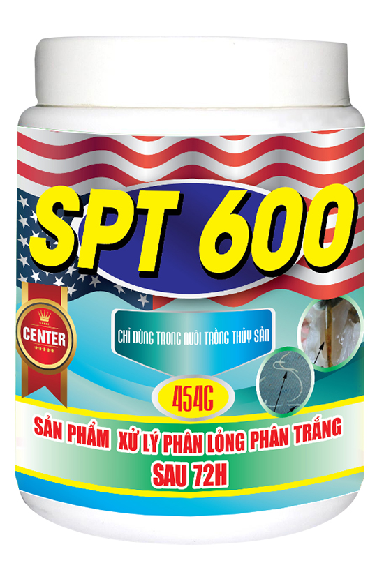 SPT 600